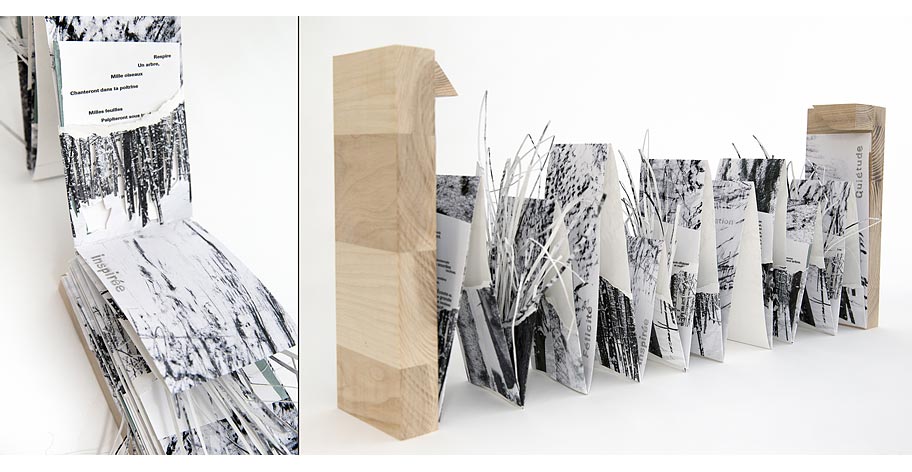 Poésie forestière, livre d'artiste réalisé par Marie J. Roy